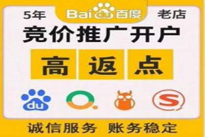 百度搜索推广实战技巧：成功案例背后的优化策略